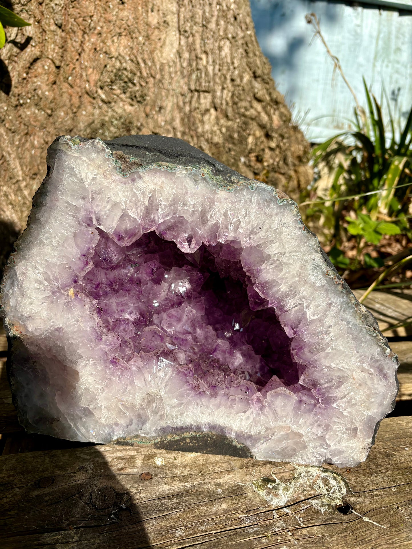 Amethyst Cathedral