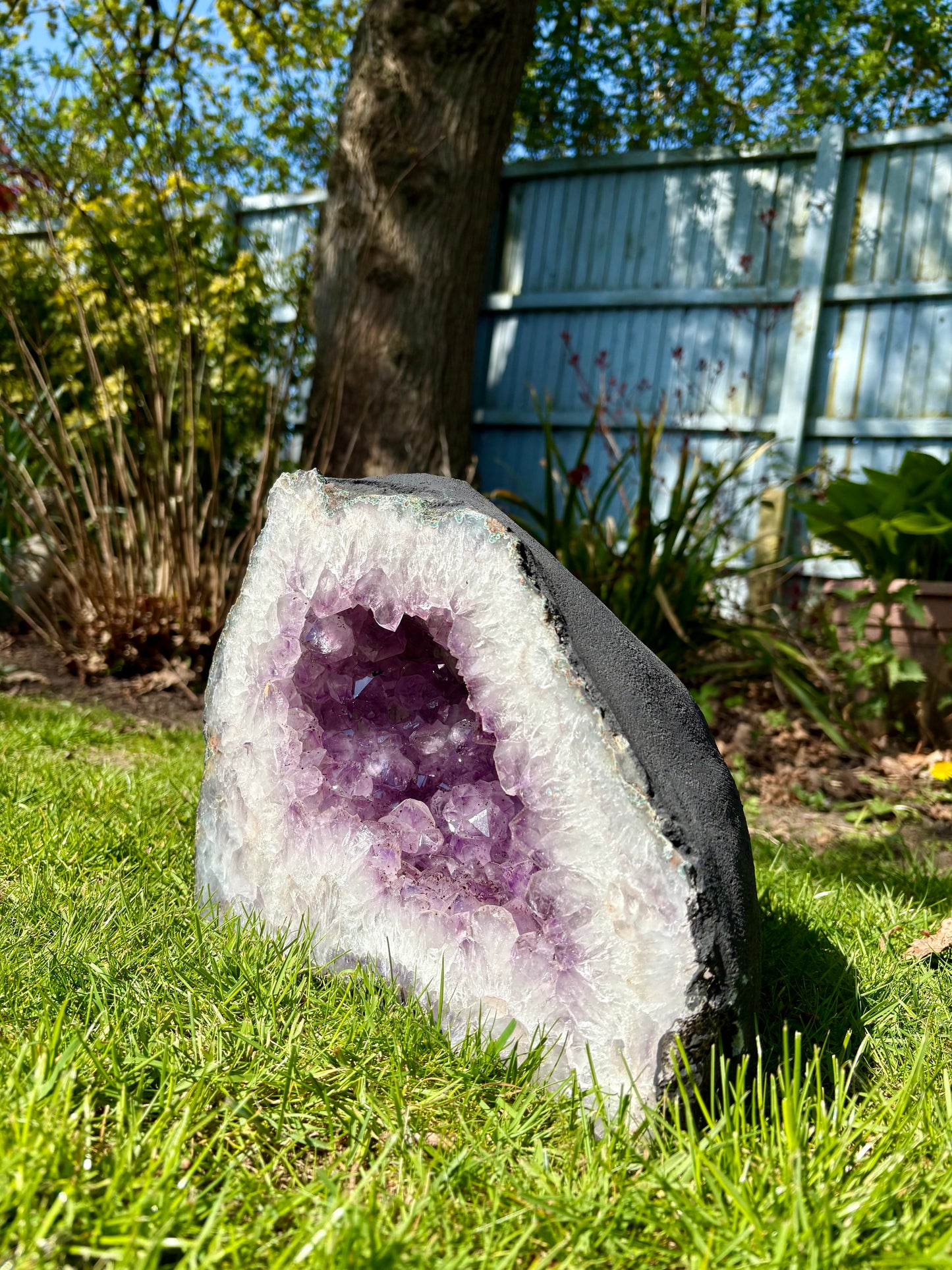 Amethyst Cathedral