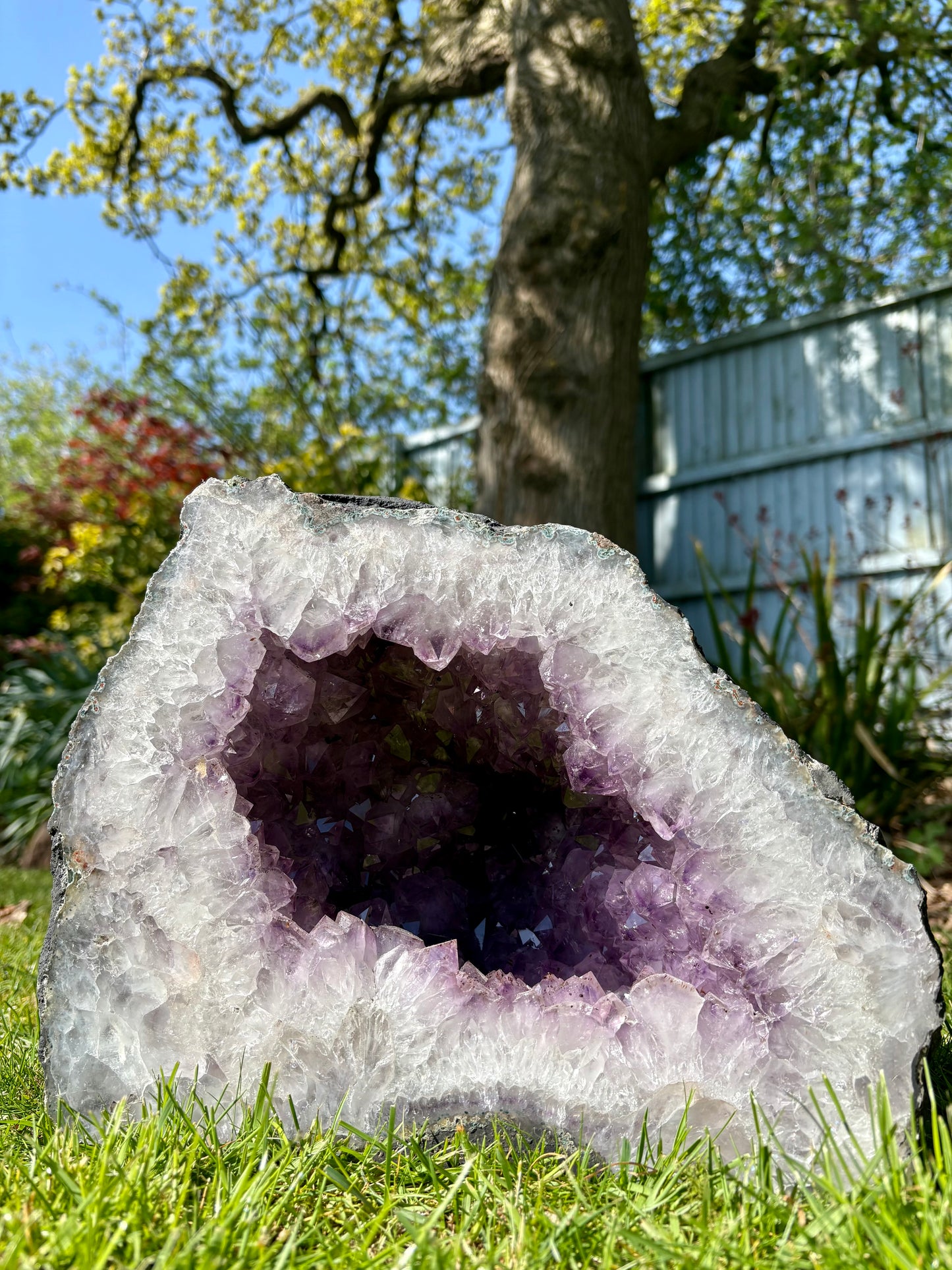 Amethyst Cathedral