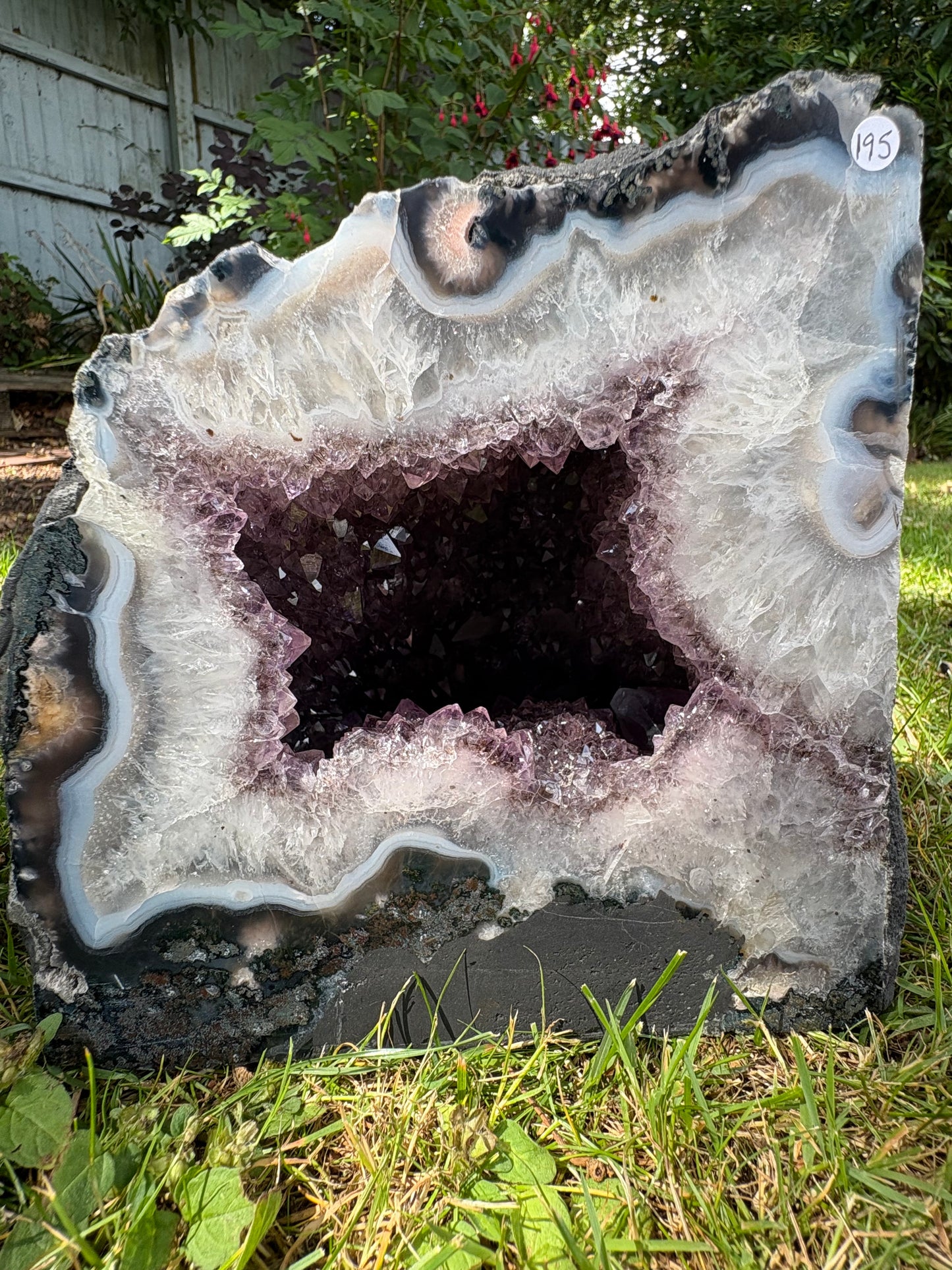 Amethyst cathedral 6.9kgs